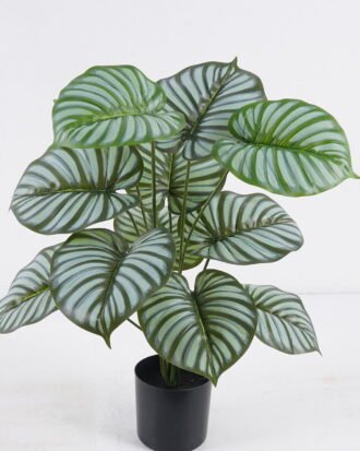 Artificial Tree 44*40*55cm Green apple leaves in PP pot/12 lvs GS-30425021 2026Apr YeahFlower is one of Chinese leading OEM manufacturers and exporters , supplying the silk flowers, wholesale artificial trees Artificial Tree 44*40*55cm Green apple leaves in PP pot/12 lvs GS-30425021 2026Apr YeahFlower is one of Chinese leading OEM manufacturers and exporters , supplying the silk flowers, wholesale artificial trees