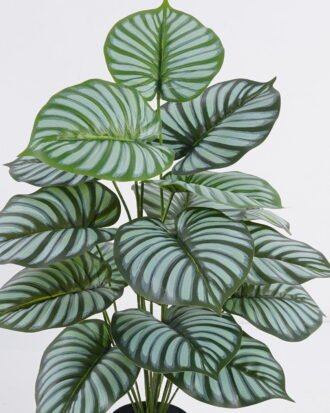 Artificial Tree 55*50*65cm Green apple leaves in PP pot/18 lvs GS-30425022 2026Apr YeahFlower is one of Chinese leading OEM manufacturers and exporters , supplying the silk flowers, wholesale artificial trees Artificial Tree 55*50*65cm Green apple leaves in PP pot/18 lvs GS-30425022 2026Apr YeahFlower is one of Chinese leading OEM manufacturers and exporters , supplying the silk flowers, wholesale artificial trees