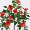 Artificial Tree Hibiscus mutabilis 12 in PP pot 186 lvs GS-58425007KD-RP_6 Artificial Tree 50*40*120cm Hibiscus mutabilis *12 in PP pot/186 lvs GS-58425007KD-RP 2026Apr YeahFlower is one of Chinese leading OEM manufacturers and exporters , supplying the silk flowers, wholesale artificial trees