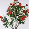 Artificial Tree Hibiscus mutabilis 20 in PP pot 310 lvs GS-58425008KD_7 Artificial Tree 80*50*150cm Hibiscus mutabilis *20 in PP pot/310 lvs GS-58425008KD 2026Apr YeahFlower is one of Chinese leading OEM manufacturers and exporters , supplying the silk flowers, wholesale artificial trees
