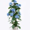Artificial Tree 40*35*105cm Hydrangea in PP pot GS-15425065 2026Mar YeahFlower is one of Chinese leading OEM manufacturers and exporters , supplying the silk flowers, wholesale artificial trees