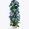 Artificial Tree 50*50*120cm Hydrangea in PP pot GS-15425066 2026Mar YeahFlower is one of Chinese leading OEM manufacturers and exporters , supplying the silk flowers, wholesale artificial trees