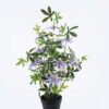 Artificial Tree 40*35*95cm Hydrangea in PP pot GS-15425068 2026Mar YeahFlower is one of Chinese leading OEM manufacturers and exporters , supplying the silk flowers, wholesale artificial trees