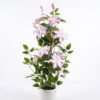 Artificial Tree Hydrangea in PP pot GS-15425069_3 Artificial Tree 50*50*120cm Hydrangea in PP pot GS-15425069 2026Mar YeahFlower is one of Chinese leading OEM manufacturers and exporters , supplying the silk flowers, wholesale artificial trees