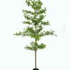 Artificial Tree 80*80*190cm Indian almond in PP Pot GS-59525044KD 2026Apr YeahFlower is one of Chinese leading OEM manufacturers and exporters , supplying the silk flowers, wholesale artificial trees