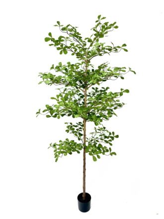 Artificial Tree 80*80*190cm Indian almond in PP Pot GS-59525044KD 2026Apr 3,000+ sqm showroom with thousands of artificial flowers, plants & trees ready for global sourcing.