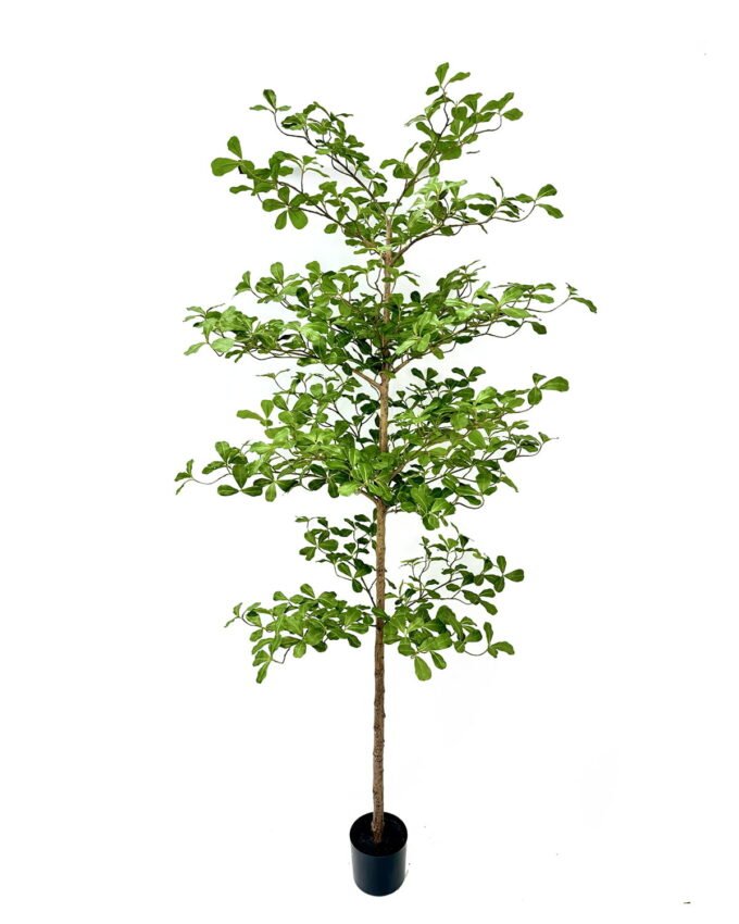 Artificial Tree 90*90*210cm Indian almond in PP Pot GS-59525045KD 2026Apr YeahFlower is one of Chinese leading OEM manufacturers and exporters , supplying the silk flowers, wholesale artificial trees