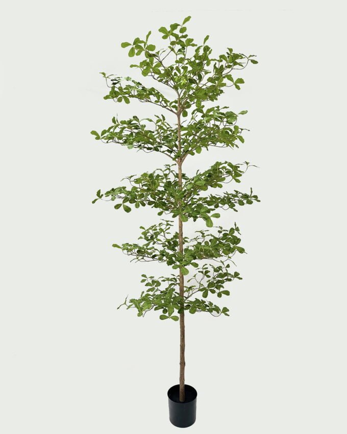 Artificial Tree 95*95*240cm Indian almond in PP Pot GS-59525046KD 2026Apr YeahFlower is one of Chinese leading OEM manufacturers and exporters , supplying the silk flowers, wholesale artificial trees
