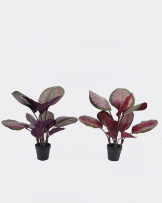 Artificial Tree 40*30*50cm Leaf in PP pot/14 lvs GS-30425024 2026Apr YeahFlower is one of Chinese leading OEM manufacturers and exporters , supplying the silk flowers, wholesale artificial trees Artificial Tree 40*30*50cm Leaf in PP pot/14 lvs GS-30425024 2026Apr YeahFlower is one of Chinese leading OEM manufacturers and exporters , supplying the silk flowers, wholesale artificial trees