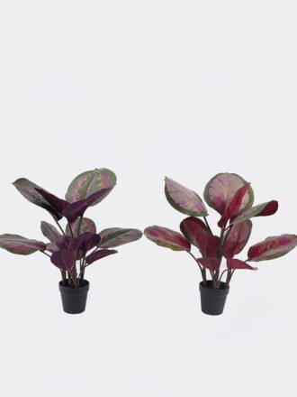 Artificial Tree 60*45*120cm Rengas *7 in PP pot/603 lvs GS-30425025 2026Apr 3,000+ sqm showroom with thousands of artificial flowers, plants & trees ready for global sourcing.
