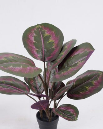 Artificial Tree 40*30*50cm Leaf in PP pot/14 lvs GS-30425024 2026Apr YeahFlower is one of Chinese leading OEM manufacturers and exporters , supplying the silk flowers, wholesale artificial trees Artificial Tree 40*30*50cm Leaf in PP pot/14 lvs GS-30425024 2026Apr YeahFlower is one of Chinese leading OEM manufacturers and exporters , supplying the silk flowers, wholesale artificial trees