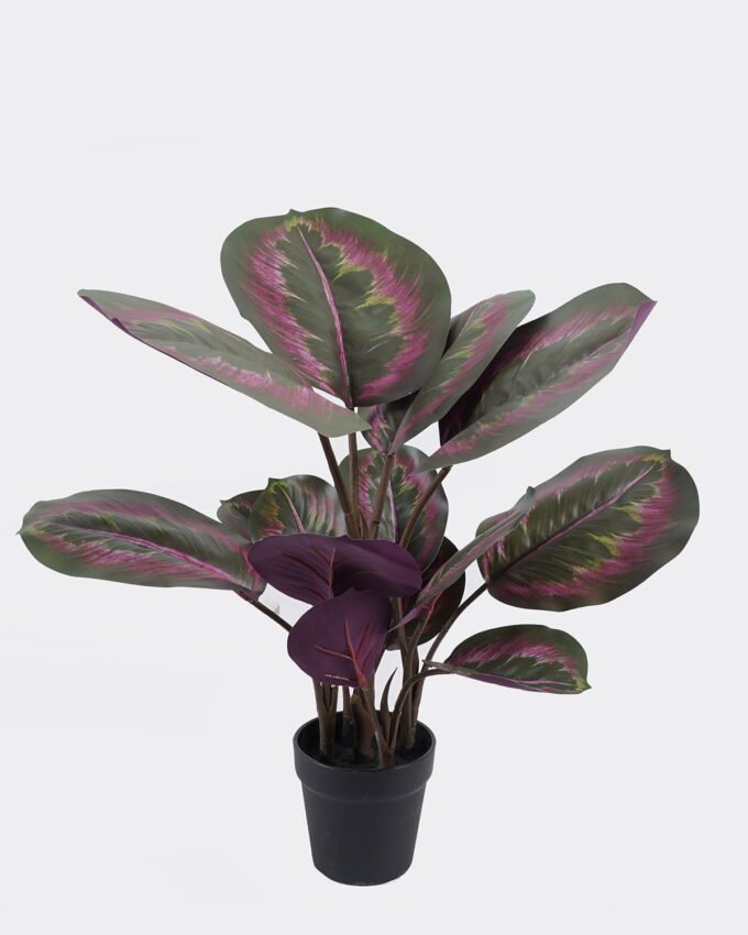 Artificial Tree 40*30*50cm Leaf in PP pot/14 lvs GS-30425024 2026Apr YeahFlower is one of Chinese leading OEM manufacturers and exporters , supplying the silk flowers, wholesale artificial trees