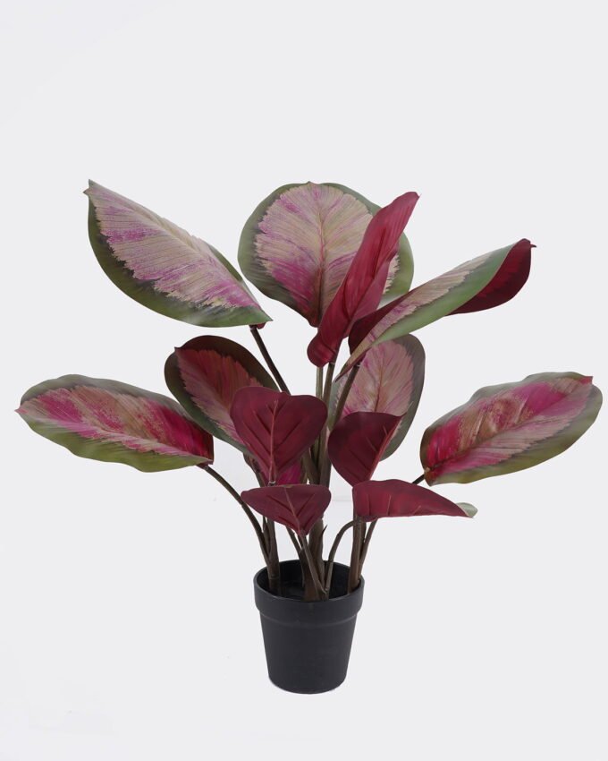 Artificial Tree 40*30*50cm Leaf in PP pot/14 lvs GS-30425024 2026Apr YeahFlower is one of Chinese leading OEM manufacturers and exporters , supplying the silk flowers, wholesale artificial trees