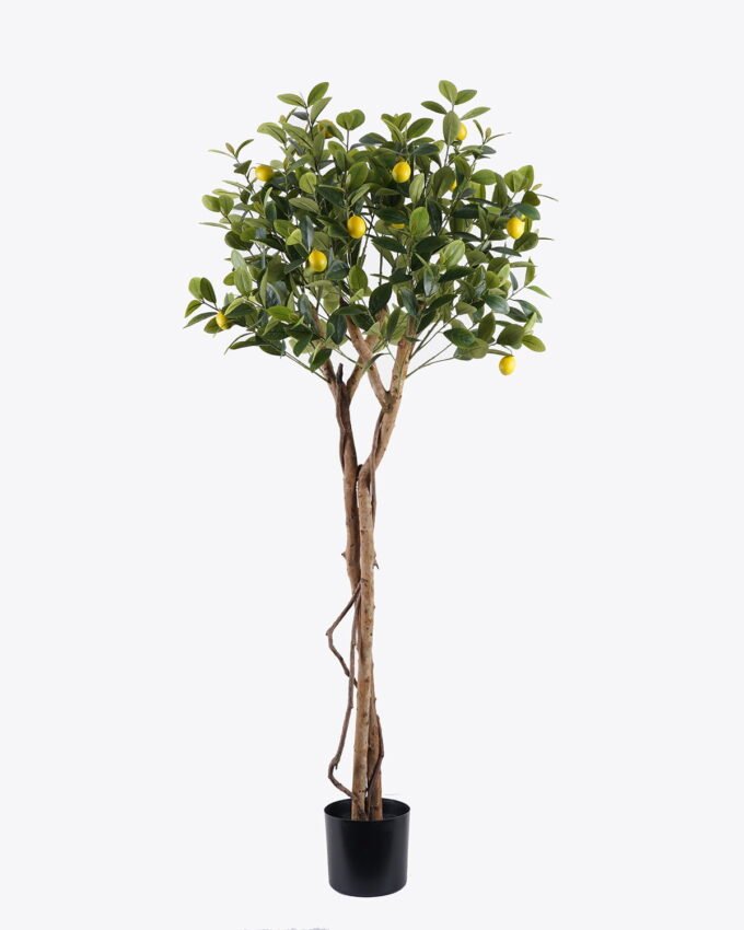 Artificial Tree 73*60*150cm Lemon tree *2 in PP pot/612 lvs nature plants GS-59525027 2026Apr YeahFlower is one of Chinese leading OEM manufacturers and exporters , supplying the silk flowers, wholesale artificial trees