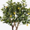 Artificial Tree 73*60*150cm Lemon tree *2 in PP pot/612 lvs nature plants GS-59525027 2026Apr YeahFlower is one of Chinese leading OEM manufacturers and exporters , supplying the silk flowers, wholesale artificial trees