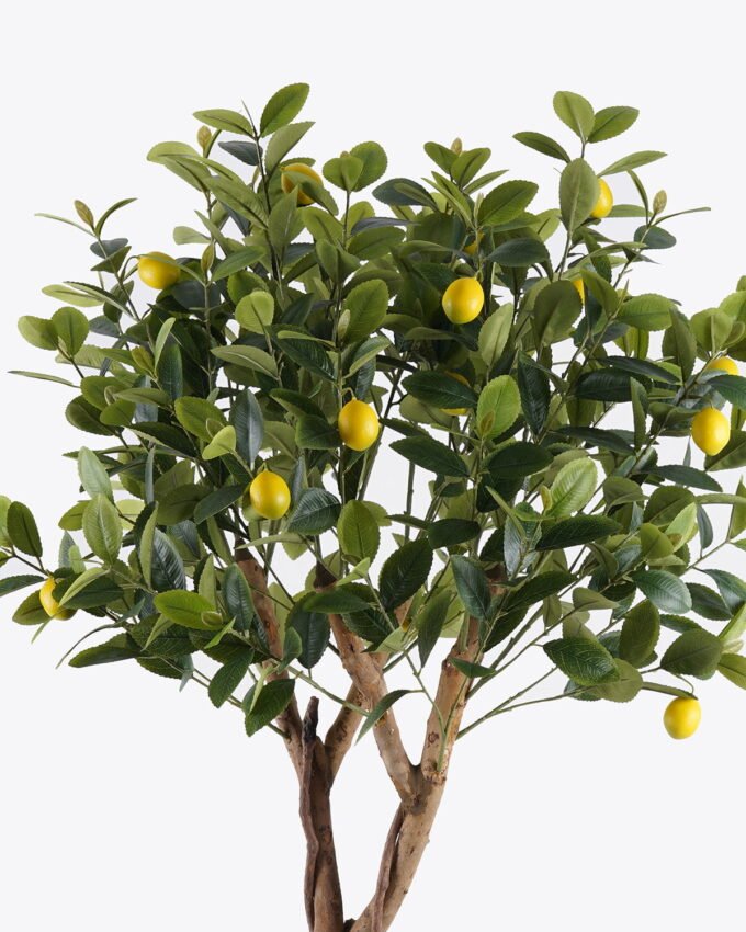 Artificial Tree 73*60*150cm Lemon tree *2 in PP pot/612 lvs nature plants GS-59525027 2026Apr YeahFlower is one of Chinese leading OEM manufacturers and exporters , supplying the silk flowers, wholesale artificial trees