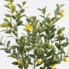 Artificial Tree 64*55*120cm Lemon tree *4 in PP pot/368 lvs GS-59525026 2026Apr YeahFlower is one of Chinese leading OEM manufacturers and exporters , supplying the silk flowers, wholesale artificial trees