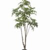 Artificial Tree Longan tree in PP pot GS-82625003KD Artificial Tree 76*70*180cm Longan tree in PP pot GS-82625003KD 2026May 3,000+ sqm showroom with thousands of artificial flowers, plants & trees ready for global sourcing.