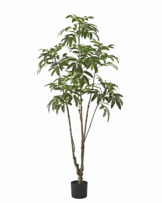 Artificial Tree 76*70*180cm Longan tree in PP pot GS-82625003KD 2026May 3,000+ sqm showroom with thousands of artificial flowers, plants & trees ready for global sourcing.