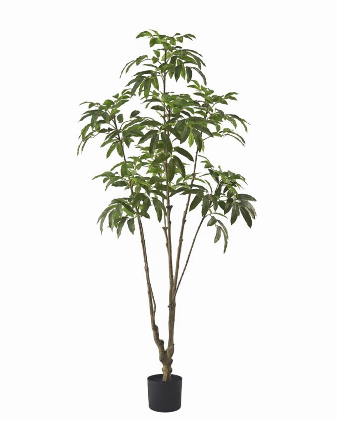 Artificial Tree 76*70*180cm Longan tree in PP pot GS-82625003KD 2026May 3,000+ sqm showroom with thousands of artificial flowers, plants & trees ready for global sourcing.
