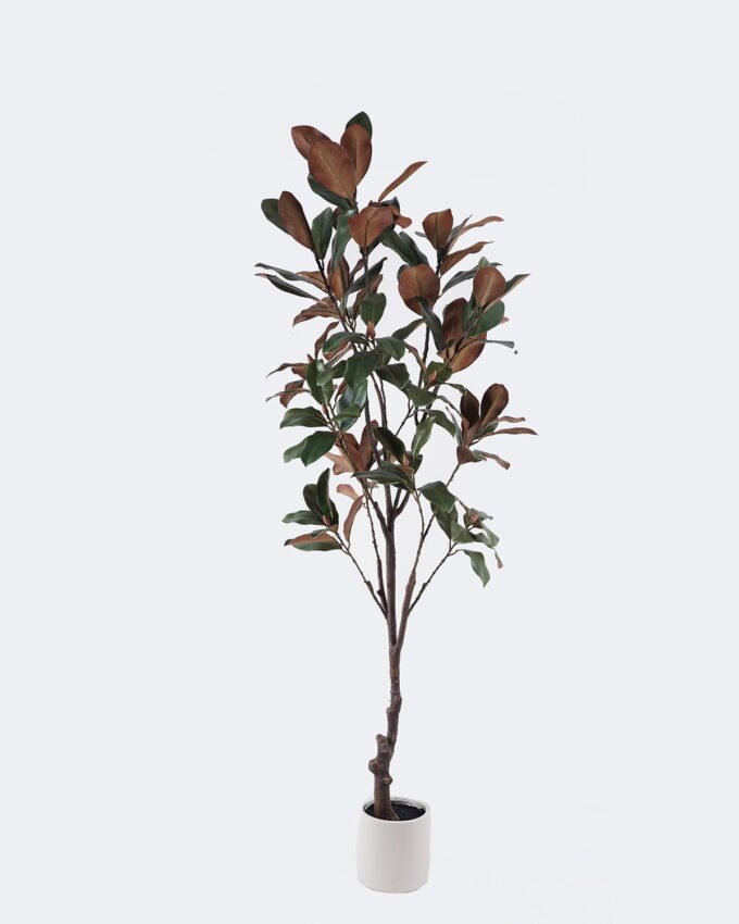 Artificial Tree 60*50*180cm Magnolia leaf in PP pot/108 lvs GS-58425029KD 2026Apr YeahFlower is one of Chinese leading OEM manufacturers and exporters , supplying the silk flowers, wholesale artificial trees