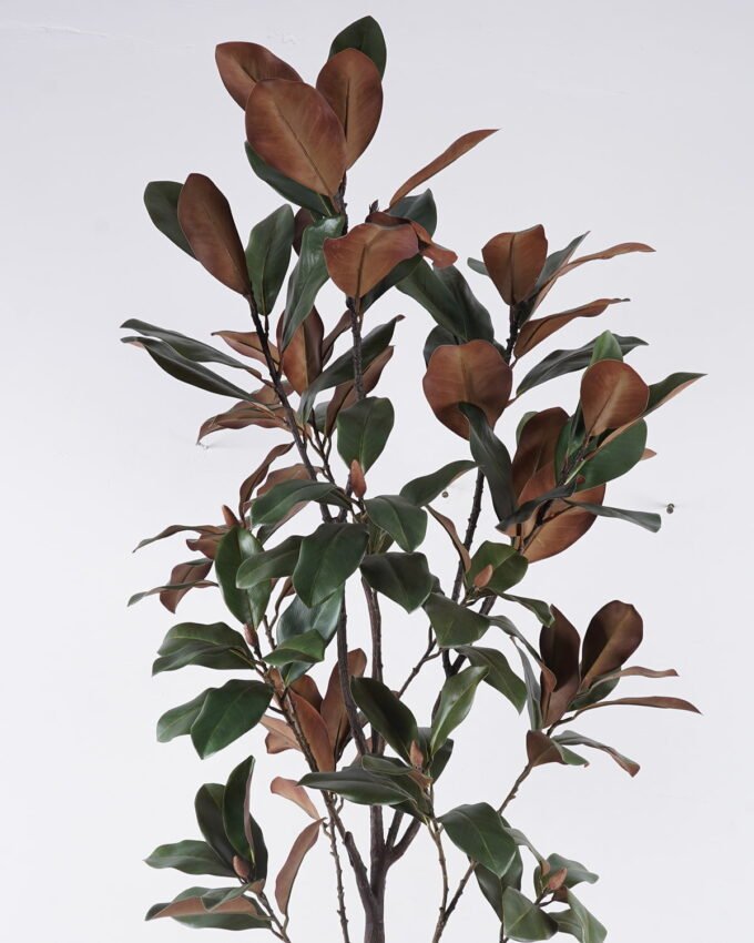 Artificial Tree 60*50*180cm Magnolia leaf in PP pot/108 lvs GS-58425029KD 2026Apr YeahFlower is one of Chinese leading OEM manufacturers and exporters , supplying the silk flowers, wholesale artificial trees