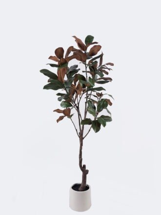 Artificial Tree 60*50*180cm Magnolia leaf in PP pot/108 lvs GS-58425029KD 2026Apr 3,000+ sqm showroom with thousands of artificial flowers, plants & trees ready for global sourcing.