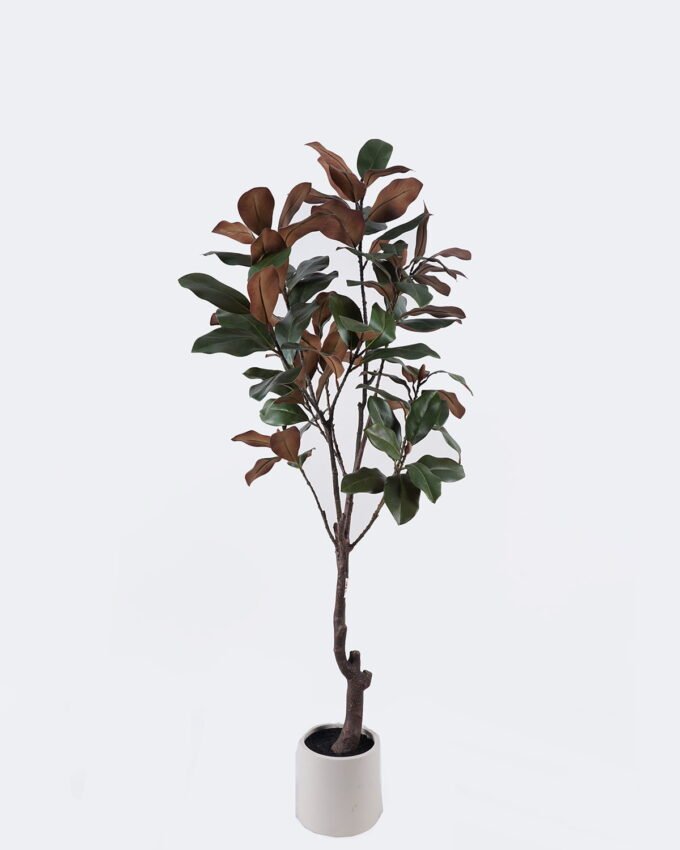 Artificial Tree 63*40*150cm Magnolia leaf in PP pot/78 lvs GS-58425028KD 2026Apr YeahFlower is one of Chinese leading OEM manufacturers and exporters , supplying the silk flowers, wholesale artificial trees
