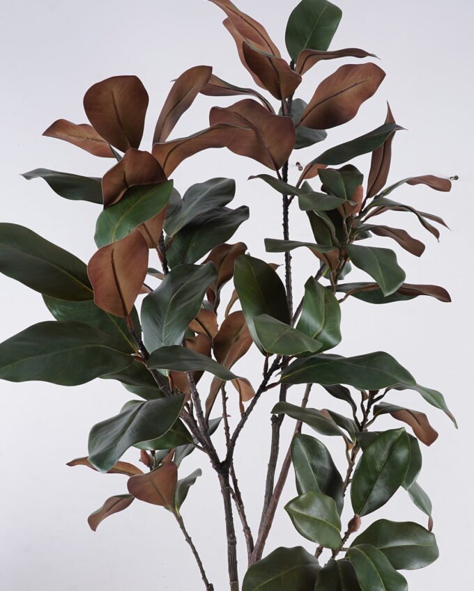 Artificial Tree 63*40*150cm Magnolia leaf in PP pot/78 lvs GS-58425028KD 2026Apr YeahFlower is one of Chinese leading OEM manufacturers and exporters , supplying the silk flowers, wholesale artificial trees