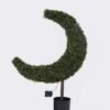 Artificial Tree Milan moon in PP pot with light GS-81825001KD_5 Artificial Tree 80*19*120cm Milan moon in PP pot/with light GS-81825001KD 2026May 3,000+ sqm showroom with thousands of artificial flowers, plants & trees ready for global sourcing.