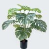 Artificial Tree 65*65*90cm Monstera Adansonii *12 in PP pot//12 Lvs GS-59525054 2026Apr YeahFlower is one of Chinese leading OEM manufacturers and exporters , supplying the silk flowers, wholesale artificial trees