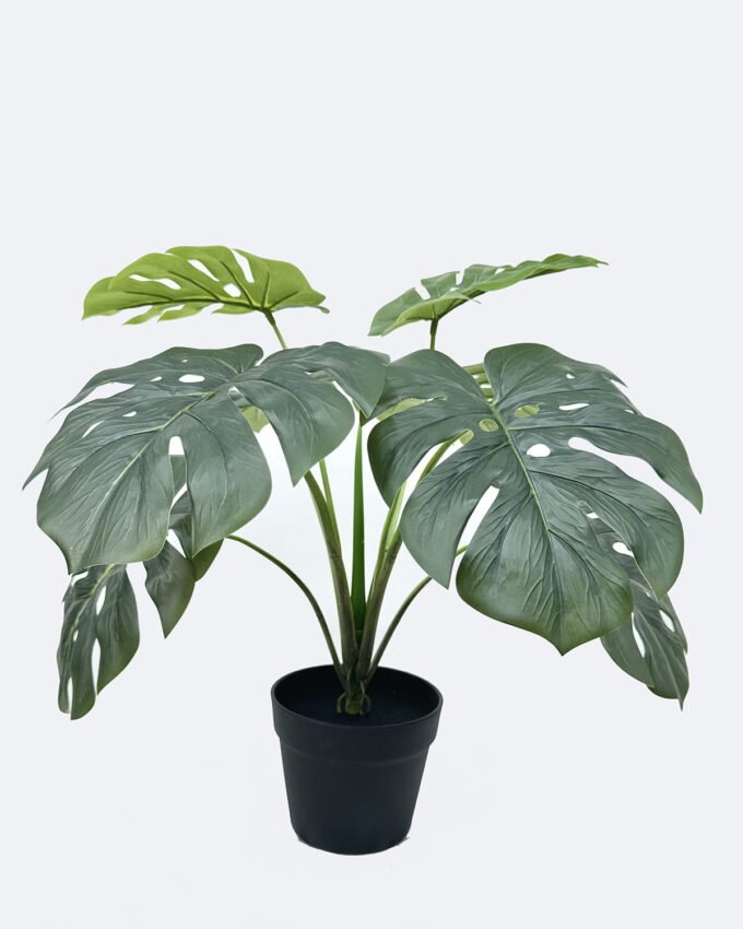 Artificial Tree 70*70*50cm Monstera Adansonii *8 in PP pot GS-59525053 2026Apr YeahFlower is one of Chinese leading OEM manufacturers and exporters , supplying the silk flowers, wholesale artificial trees