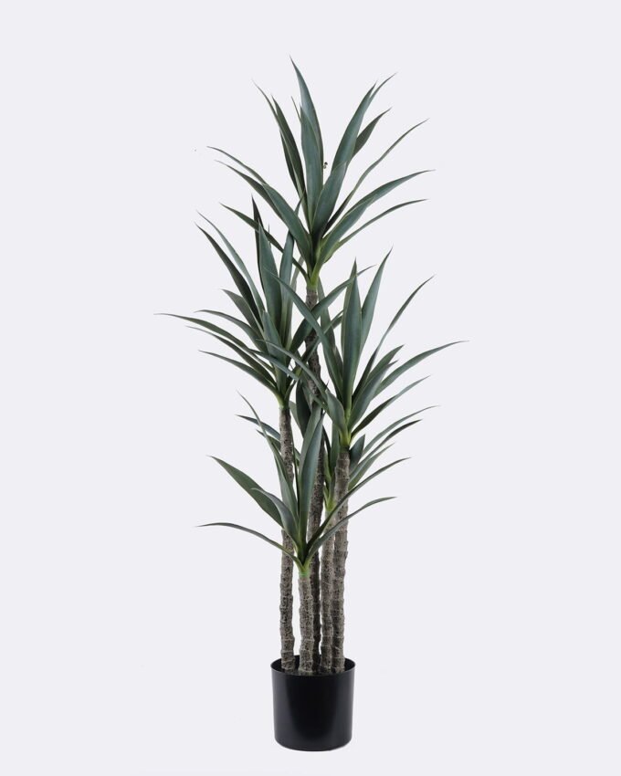Artificial Tree 62*54*150cm North American yucca *5 in PP pot/75 lvs GS-59525035 2026Apr YeahFlower is one of Chinese leading OEM manufacturers and exporters , supplying the silk flowers, wholesale artificial trees
