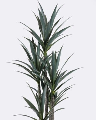 Artificial Tree 62*54*150cm North American yucca *5 in PP pot/75 lvs GS-59525035 2026Apr YeahFlower is one of Chinese leading OEM manufacturers and exporters , supplying the silk flowers, wholesale artificial trees