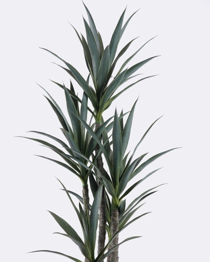 Artificial Tree 62*54*150cm North American yucca *5 in PP pot/75 lvs GS-59525035 2026Apr YeahFlower is one of Chinese leading OEM manufacturers and exporters , supplying the silk flowers, wholesale artificial trees