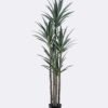 Artificial Tree 65*59*180cm North American yucca *5 in PP pot/93 lvs GS-59525036 2026Apr YeahFlower is one of Chinese leading OEM manufacturers and exporters , supplying the silk flowers, wholesale artificial trees