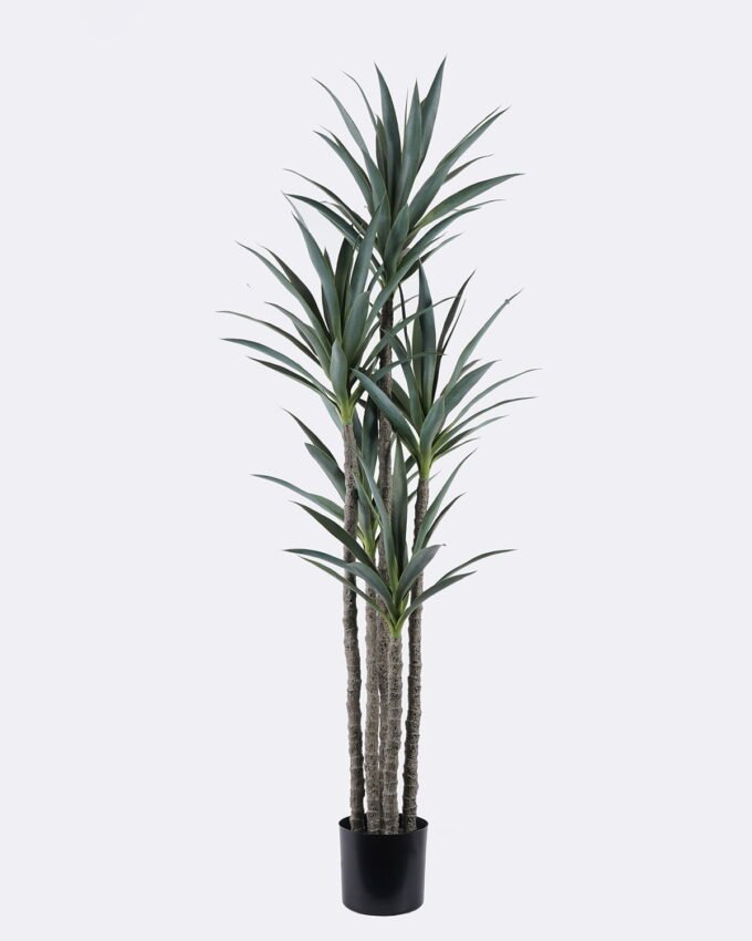 Artificial Tree 65*59*180cm North American yucca *5 in PP pot/93 lvs GS-59525036 2026Apr YeahFlower is one of Chinese leading OEM manufacturers and exporters , supplying the silk flowers, wholesale artificial trees