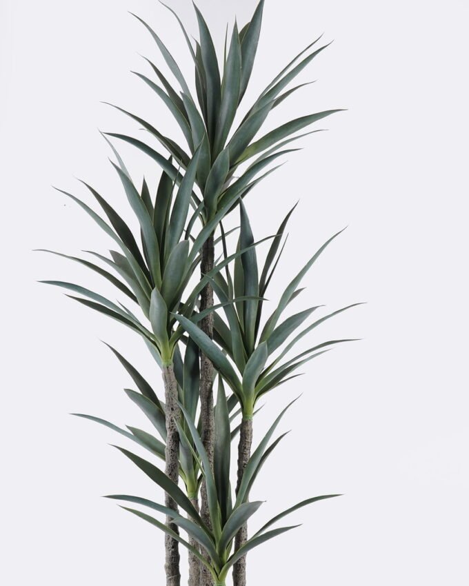 Artificial Tree 65*59*180cm North American yucca *5 in PP pot/93 lvs GS-59525036 2026Apr YeahFlower is one of Chinese leading OEM manufacturers and exporters , supplying the silk flowers, wholesale artificial trees