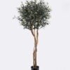 Artificial Tree 60*60*150cm Olive tree *2 in PP pot/1604 lvs nature plants GS-59525033 2026Apr YeahFlower is one of Chinese leading OEM manufacturers and exporters , supplying the silk flowers, wholesale artificial trees