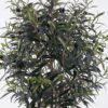 Artificial Tree 55*55*130cm Olive tree *4 in PP pot/1510 lvs nature plants GS-59525032 2026Apr YeahFlower is one of Chinese leading OEM manufacturers and exporters , supplying the silk flowers, wholesale artificial trees