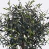 Artificial Tree 55*55*110cm Olive tree in PP pot/1126 lvs GS-59525031 2026Apr YeahFlower is one of Chinese leading OEM manufacturers and exporters , supplying the silk flowers, wholesale artificial trees
