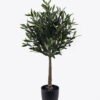 Artificial Tree 50*47*90cm Olive tree in PP pot GS-59525028 2026Apr YeahFlower is one of Chinese leading OEM manufacturers and exporters , supplying the silk flowers, wholesale artificial trees