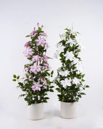 Artificial Tree 40*30*70cm Passiflora edulis in PP pot GS-15425070 2026Mar YeahFlower is one of Chinese leading OEM manufacturers and exporters , supplying the silk flowers, wholesale artificial trees Artificial Tree 40*30*70cm Passiflora edulis in PP pot GS-15425070 2026Mar YeahFlower is one of Chinese leading OEM manufacturers and exporters , supplying the silk flowers, wholesale artificial trees