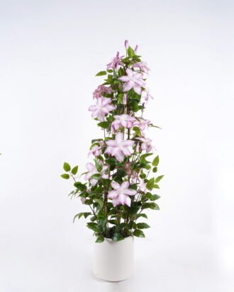 Artificial Tree 40*30*70cm Passiflora edulis in PP pot GS-15425070 2026Mar YeahFlower is one of Chinese leading OEM manufacturers and exporters , supplying the silk flowers, wholesale artificial trees Artificial Tree 40*30*70cm Passiflora edulis in PP pot GS-15425070 2026Mar YeahFlower is one of Chinese leading OEM manufacturers and exporters , supplying the silk flowers, wholesale artificial trees