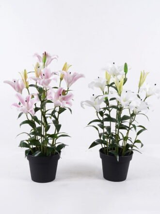 Artificial Tree 40*30*70cm Passiflora edulis in PP pot GS-15425070 2026Mar 3,000+ sqm showroom with thousands of artificial flowers, plants & trees ready for global sourcing.