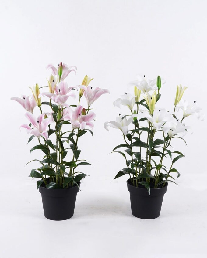 Artificial Tree 40*30*80cm Passiflora edulis in PP pot GS-15425071 2026Mar YeahFlower is one of Chinese leading OEM manufacturers and exporters , supplying the silk flowers, wholesale artificial trees