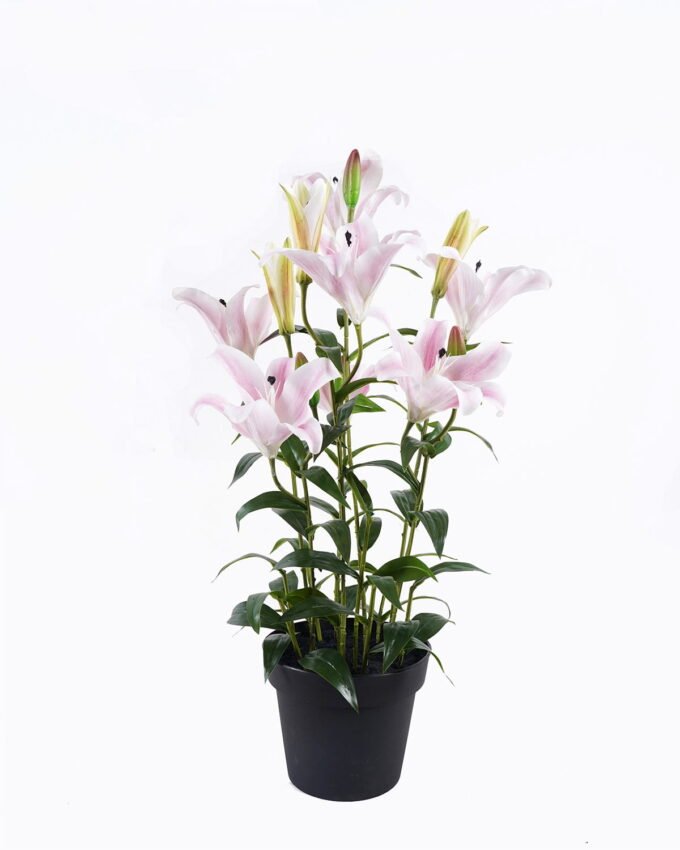 Artificial Tree 40*30*80cm Passiflora edulis in PP pot GS-15425071 2026Mar YeahFlower is one of Chinese leading OEM manufacturers and exporters , supplying the silk flowers, wholesale artificial trees