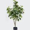 Artificial Tree 50*50*100cm Peperomia*4 in PP pot/235 Lvs GS-59525058-G1 2026Apr YeahFlower is one of Chinese leading OEM manufacturers and exporters , supplying the silk flowers, wholesale artificial trees