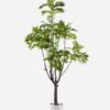 Artificial Tree Rengas 8 in PP pot GS-30425026_7 Artificial Tree 80*60*180cm Rengas *8 in PP pot GS-30425026 2026Apr YeahFlower is one of Chinese leading OEM manufacturers and exporters , supplying the silk flowers, wholesale artificial trees