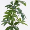 Artificial Tree 40*40*86cm Seven-star leaves *3 in PP pot GS-69425017 2026Apr YeahFlower is one of Chinese leading OEM manufacturers and exporters , supplying the silk flowers, wholesale artificial trees